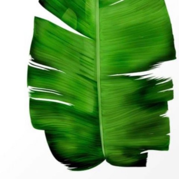 Meet your Posher, Yomi - Picture 1 of 1